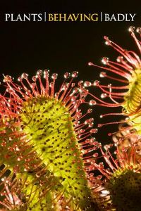 ֲ��Ҳ����