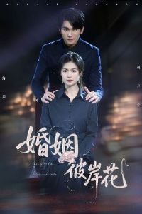 �����˰���