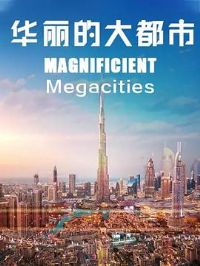 MagnificentMegacities