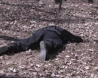 ��������֮��¹