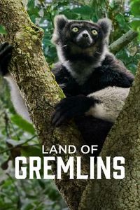 ������԰��һ��