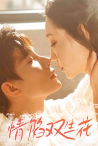 ����˫����